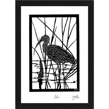 "Ibis" by Clay Rice  (8x10 Print With Frame)